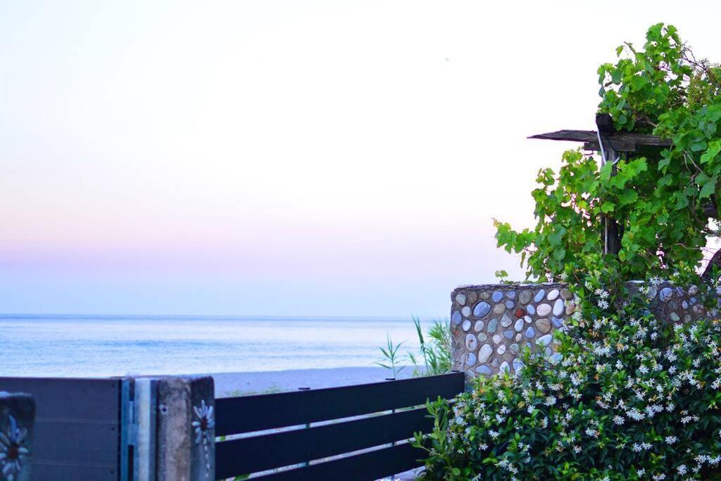 Amazing Beach House Хорефто Екстериор снимка